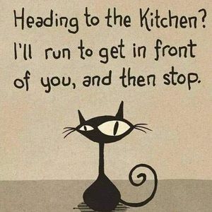 Meet your Posher, Cheri